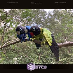 Super Basic STL Lovebirds Agapornis