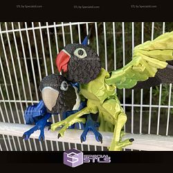 Super Basic STL Lovebirds Agapornis