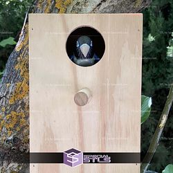 Super Basic STL Lovebirds Agapornis