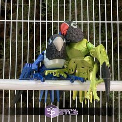 Super Basic STL Lovebirds Agapornis