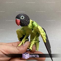 Super Basic STL Lovebirds Agapornis