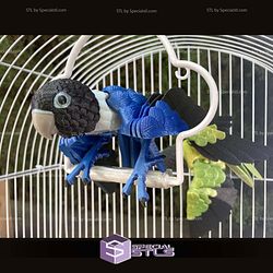 Super Basic STL Lovebirds Agapornis