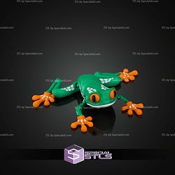 Super Basic STL Reed the Red Eyed Tree Frog