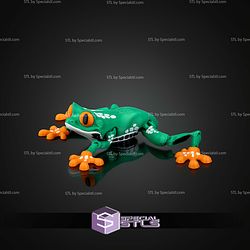 Super Basic STL Reed the Red Eyed Tree Frog