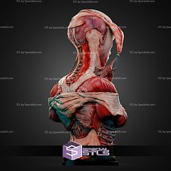 The Gasp Bust Hellraiser STL Files