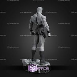 The Phantom 370mm STL Files