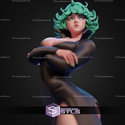 Tornado Tatsumaki STL Files