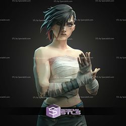 Vi Arena Fighter 1-10 STL Files