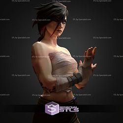 Vi Arena Fighter 1-10 STL Files