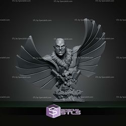 Vulture and His Wing Bust STL Files