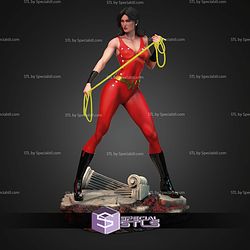Wonder Girl DC Hero STL Files