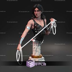 Wonder Girl DC Hero STL Files