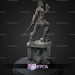 Wyll Blade Of Frontier 1-6 NSFW STL Files