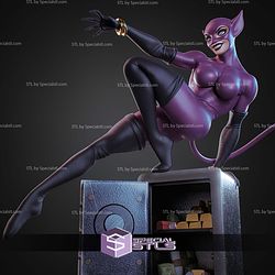 Catwoman Bank Rob 290mm STL Files