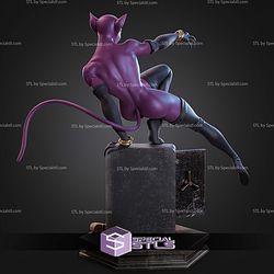 Catwoman Bank Rob 290mm STL Files