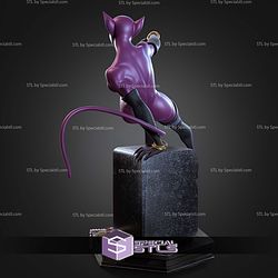 Catwoman Bank Rob 290mm STL Files