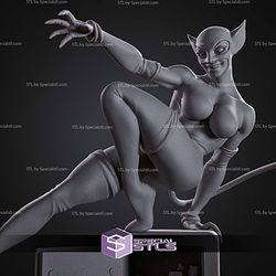 Catwoman Bank Rob 290mm STL Files