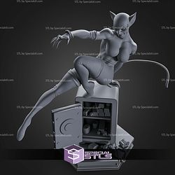 Catwoman Bank Rob 290mm STL Files