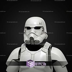 Custom 1-12 Figure STL TK Stormtrooper Remastered