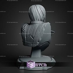 Dante Devil May Cry 3 Chill Bust 115mm STL Files