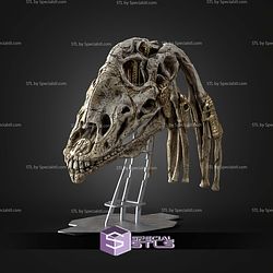 Life Size Gungan Skulls Trophy STL Files
