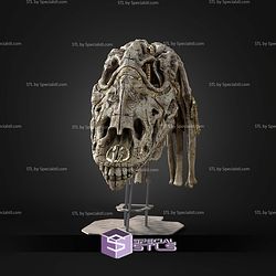 Life Size Gungan Skulls Trophy STL Files