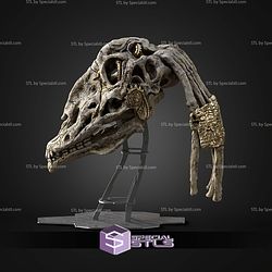 Life Size Gungan Skulls Trophy STL Files