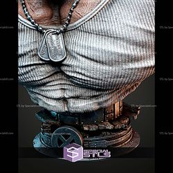 Logan Portrait Bust 290mm STL Files