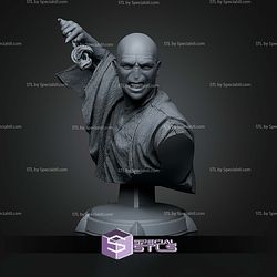 Voldemort and Nagini Bust 152mm STL Files