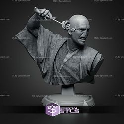 Voldemort and Nagini Bust 152mm STL Files
