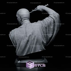 Voldemort and Nagini Bust 152mm STL Files