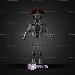 Cosplay STL Files Caesar Legion Lacerta Legate Armor