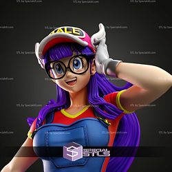 Adult Arale 1-6 STL Files