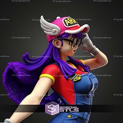 Adult Arale 1-6 STL Files