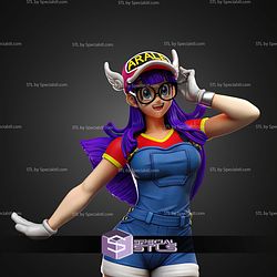 Adult Arale 1-6 STL Files