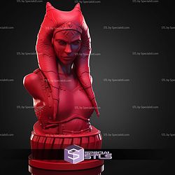 Ahsoka Standalone Bust STL Files