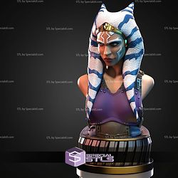 Ahsoka Standalone Bust STL Files