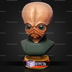 Basic STL Collection Figrin Starwars Bust