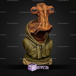 Basic STL Collection Momaw Nadon Bust
