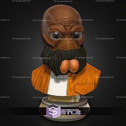 Basic STL Collection Ponda Baba Bust