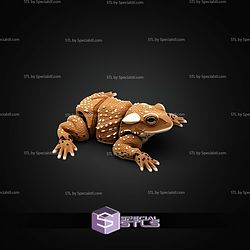 Basic STL Missile Toad Holliday