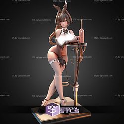 Bay Radiant Rabbit Nikke 1-7 STL Files