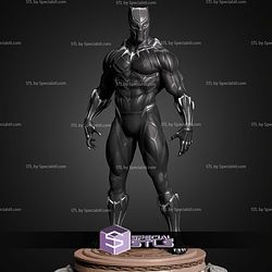 Black Panther Musemum Pose STL Files