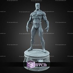 Black Panther Musemum Pose STL Files