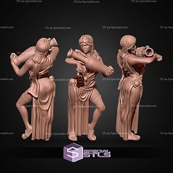 Gladiator Campaign STL Miniatures