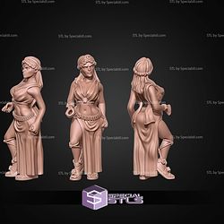 Gladiator Campaign STL Miniatures