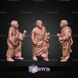 Gladiator Campaign STL Miniatures