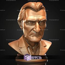 Mini Bust Character Collection STL Liam Neeson