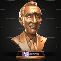 Mini Bust Character Collection STL Nicolas Cage