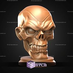 Mini Bust Character Collection STL Red Skull